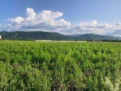 Gewerbeobjekt mieten in 9020 Klagenfurt (Bild 2)