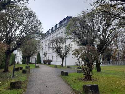 Immobilie mieten in 4600 Thalheim