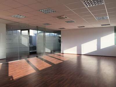 Gewerbeobjekt mieten in 8200 Gleisdorf (Bild 4)