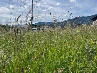 Grundstück kaufen in 9601 Arnoldstein