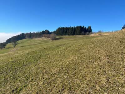 Grundstück kaufen in 3353 Seitenstetten Dorf (Bild 1)