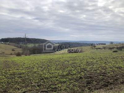 Grundstück kaufen in 8382 Weichselbaum