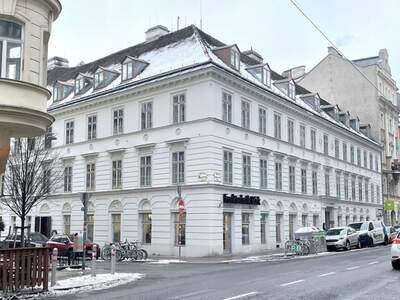 Gewerbeobjekt mieten in 1060 Wien (Bild 1)