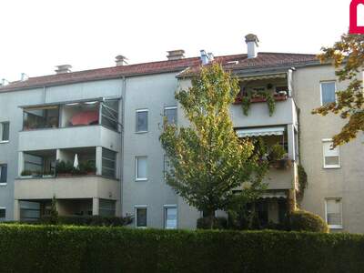 Wohnung mieten in 4060 Leonding (Bild 4)