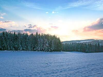 Villa kaufen in 4211 Alberndorf