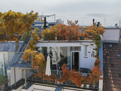 Terrassenwohnung kaufen in 1040 Wien (Bild 1)