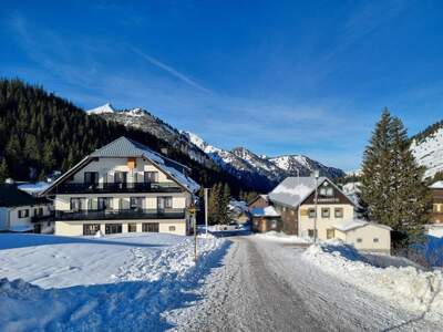 Gewerbeobjekt kaufen in 8953 Planneralm