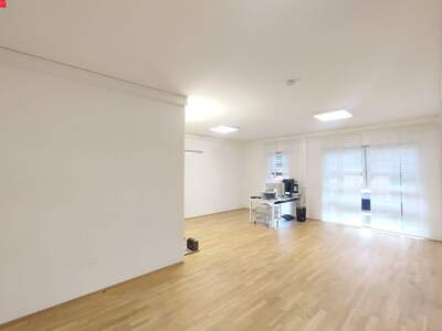 Gewerbeobjekt kaufen in 8045 Graz (Bild 2)