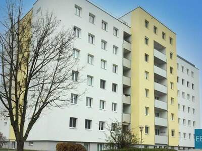 Wohnung mieten in 2700 Wiener Neustadt