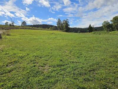 Grundstück kaufen in 4272 Weitersfelden
