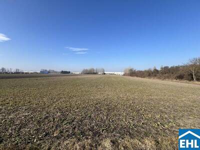 Lager kaufen in 2433 Margarethen (Bild 3)