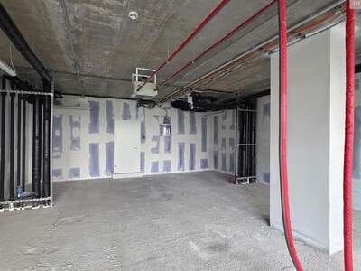 Gewerbeobjekt mieten in 1220 Wien (Bild 3)