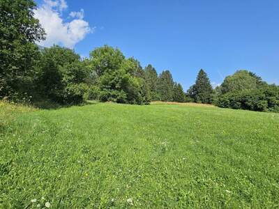 Grundstück kaufen in 9816 Penk