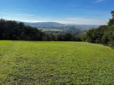 Grundstück kaufen in 3434 Tulbing (Bild 1)