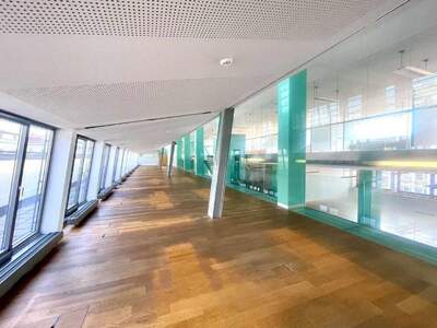 Gewerbeobjekt mieten in 1010 Wien (Bild 1)