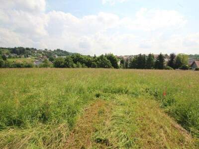 Grundstück kaufen in 4760 Raab