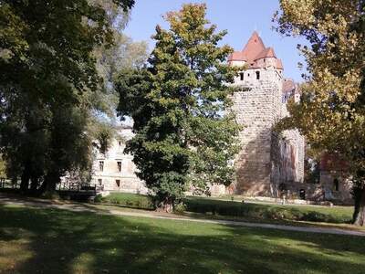 Etagenwohnung provisionsfrei mieten in 2486 Pottendorf