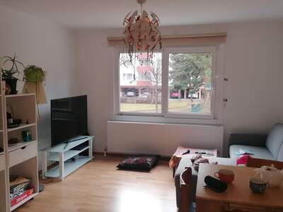 Apartment provisionsfrei mieten in 1220 Wien