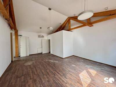 Gewerbeobjekt mieten in 1220 Wien