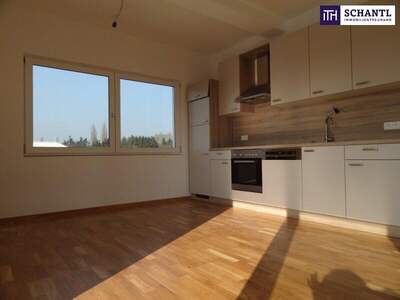 Terrassenwohnung mieten in 8041 Graz (Bild 1)