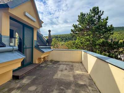 Terrassenwohnung kaufen in 2500 Baden (Bild 1)