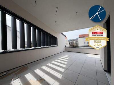 Terrassenwohnung kaufen in 3500 Krems (Bild 1)