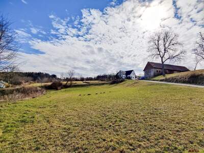 Grundstück kaufen in 8101 Gratkorn (Bild 5)