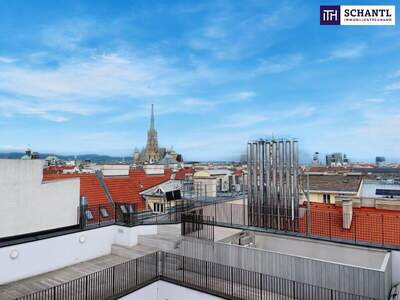 Terrassenwohnung kaufen in 1010 Wien (Bild 1)