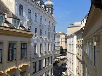 Wohnung kaufen in 1010 Wien