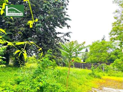 Grundstück kaufen in 1180 Wien (Bild 1)