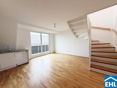 Terrassenwohnung mieten in 1030 Wien (Bild 2)