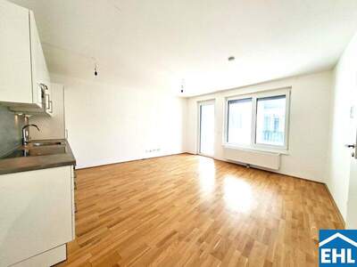 Terrassenwohnung mieten in 1210 Wien (Bild 1)