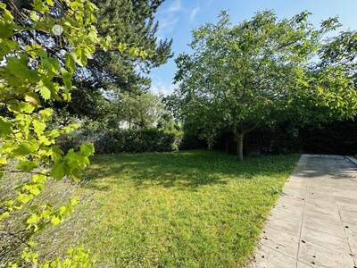 Grundstück kaufen in 1190 Wien (Bild 4)