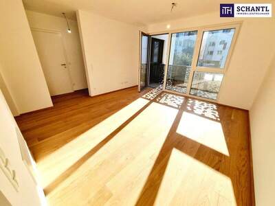 Terrassenwohnung kaufen in 1230 Wien (Bild 1)