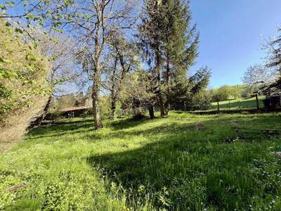 Grundstück kaufen in 3011 Irenental