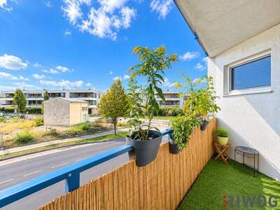 Terrassenwohnung kaufen in 2100 Korneuburg (Bild 4)