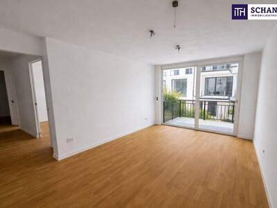 Terrassenwohnung kaufen in 2301 Groß (Bild 1)