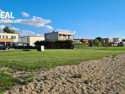 Grundstück kaufen in 7111 Parndorf (Bild 3)