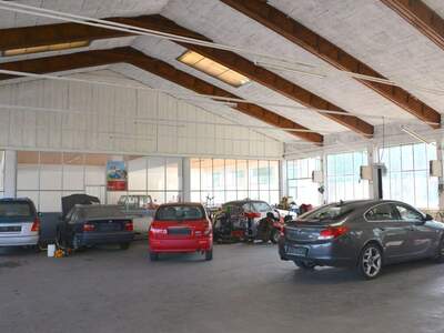 Gewerbeobjekt mieten in 8051 Graz (Bild 1)