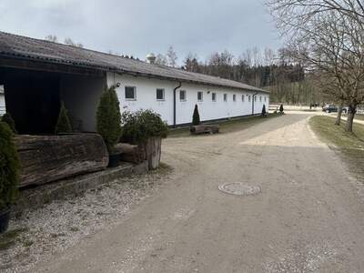 Immobilie mieten in 4843 Ampflwang (Bild 2)