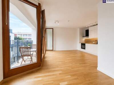 Wohnung mit Balkon mieten in 1230 Wien (Bild 2)