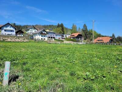 Grundstück kaufen in 9560 Feldkirchen