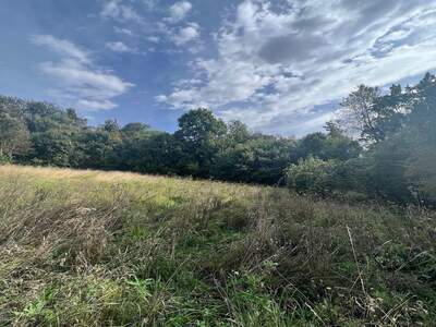 Grundstück kaufen in 8410 Allerheiligen (Bild 4)