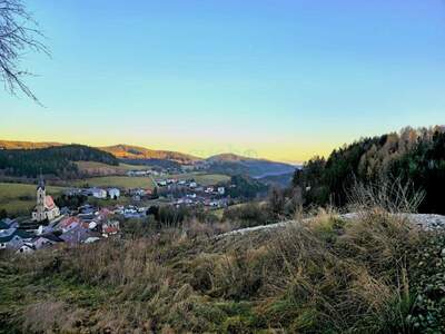 Grundstück kaufen in 4204 Reichenau