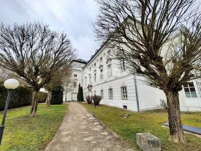 Immobilie mieten in 4600 Thalheim (Bild 1)