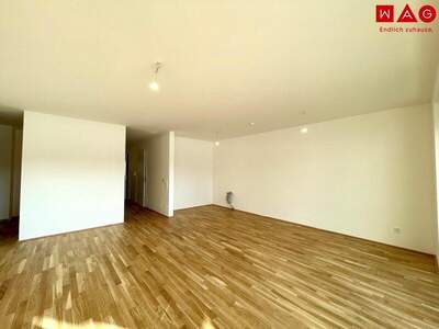 Terrassenwohnung kaufen in 4020 Linz (Bild 4)