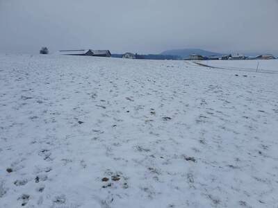 Gewerbeobjekt kaufen in 5211 Lengau