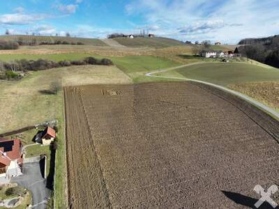 Grundstück kaufen in 8282 Stein