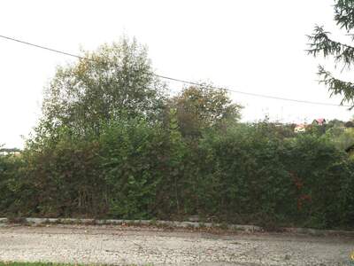 Grundstück kaufen in 4493 Wolfern