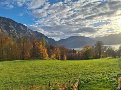 Terrassenwohnung mieten in 4853 Steinbach (Bild 4)